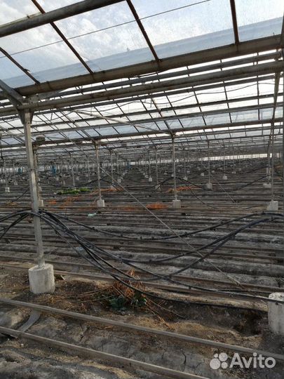 Теплица Антрацит