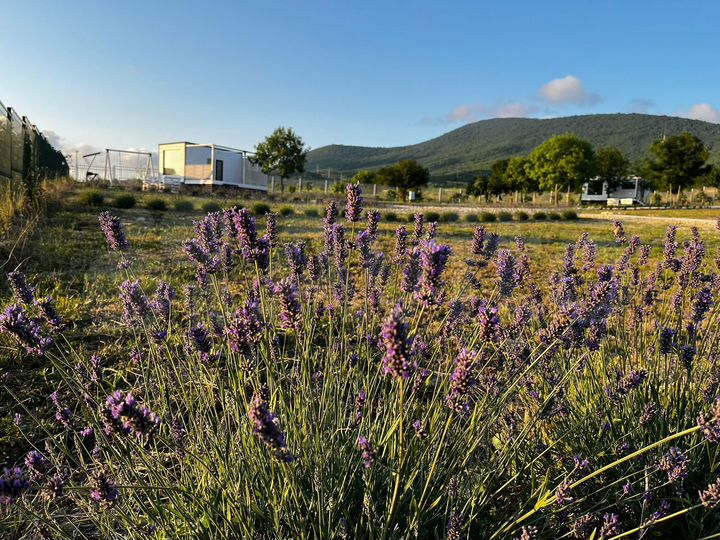 Дом 18 м² на участке 1,35 га