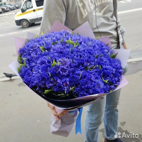 Букеты из васильков Васильки Доставка Композиции