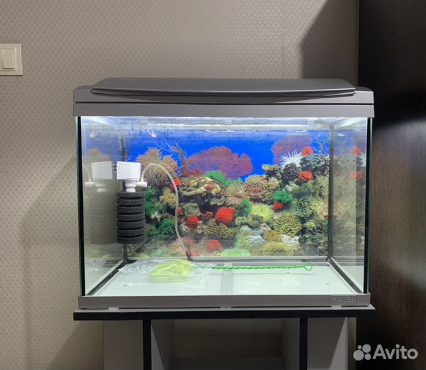 Аквариум