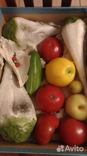 Саквояж-бра,ссср