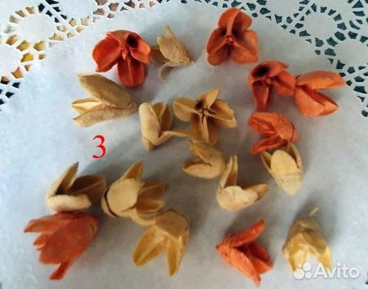 Натуральные сухоцветы