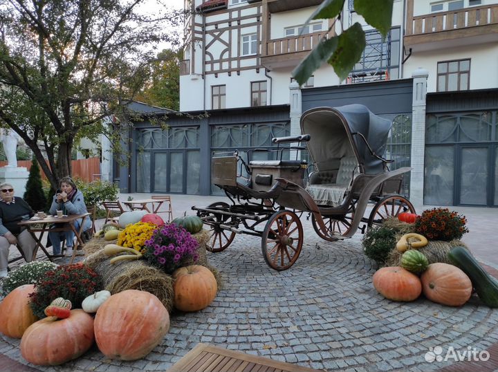 Тыквы для декора