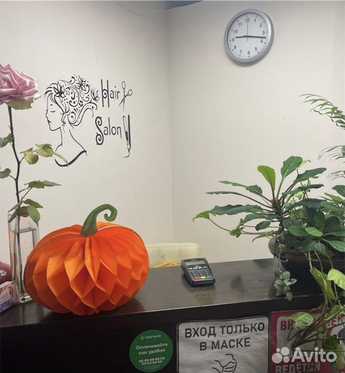 Аренда парикмахерского кресла