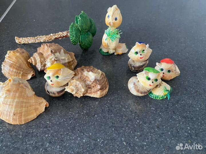 Морские ракушки