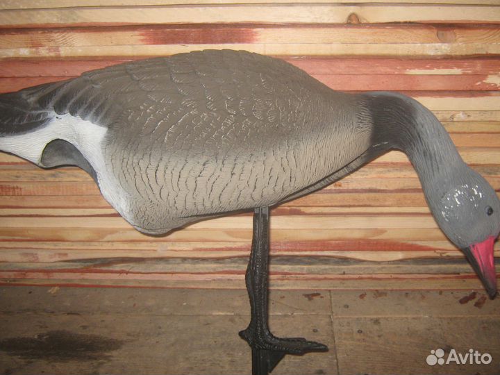 гуменник superxpe 10 штук чучела гусей. чучела гусей. чучело гуся гуменника. авито чучела гусей для охоты. махокрыл для охоты на гуся.