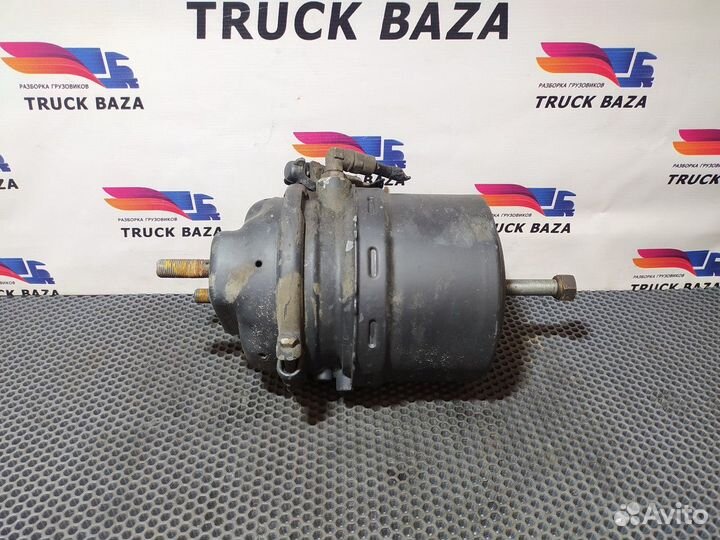 9254914300 Энергоаккумулятор тормозной камаз 5490
