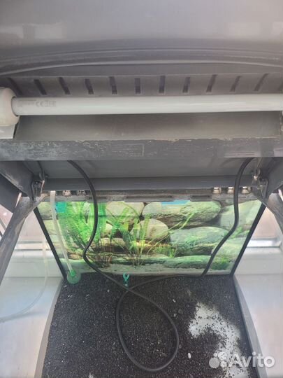 Аквариум
