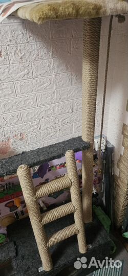 Когтеточка с домиком