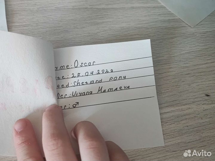 Паспорта для хоббихорса