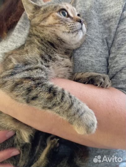 Дашу выбросили в коробке замотанной скотчем