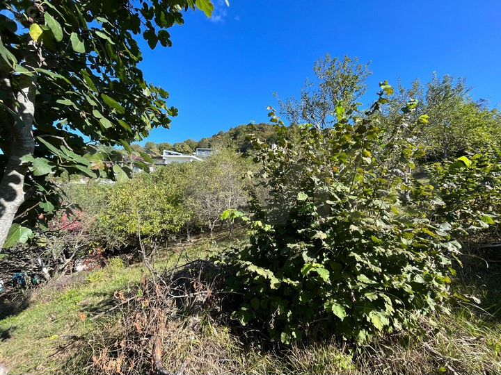 Участок 5 сот. (СНТ, ДНП)