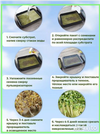 Набор для выращивания микрозелени