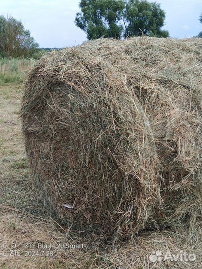 Сена в тюках