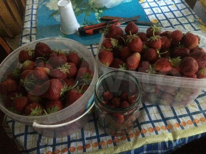 Дом 40 м² на участке 6 сот.