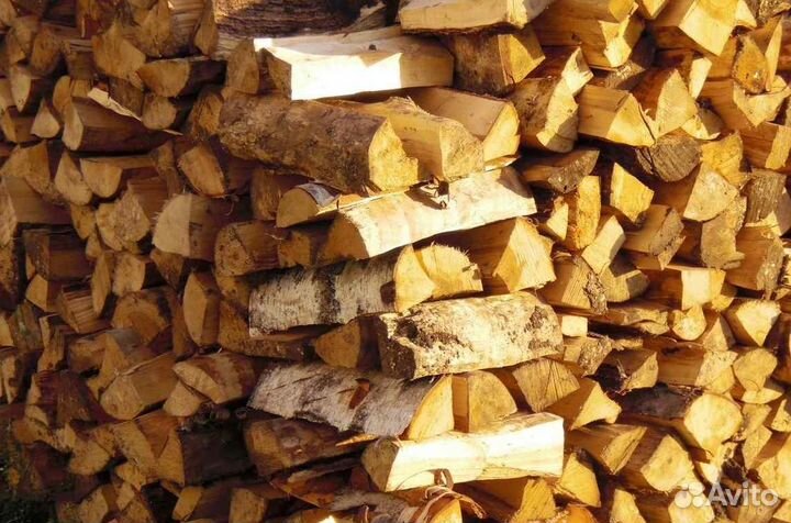 Дрова береза