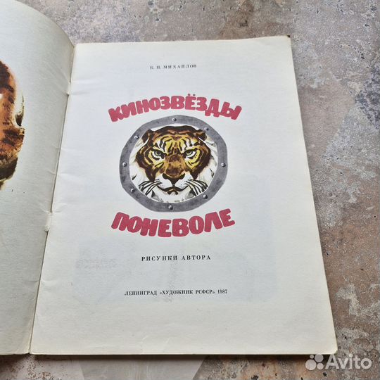 Кинозвезды поневоле. Михайлов. 1987 г