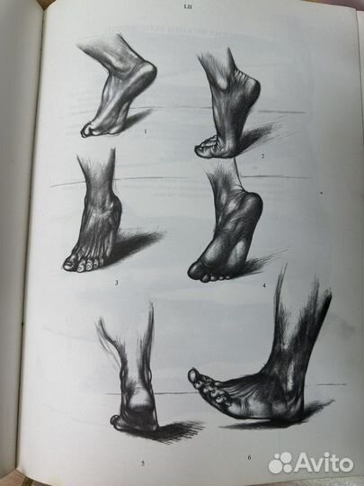 Енё Барчай Анатомия для художников
