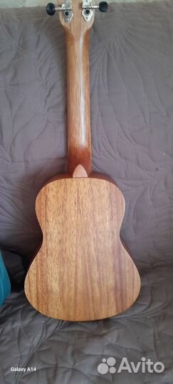 Укулеле flight концерт