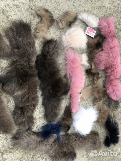 Куски Песца