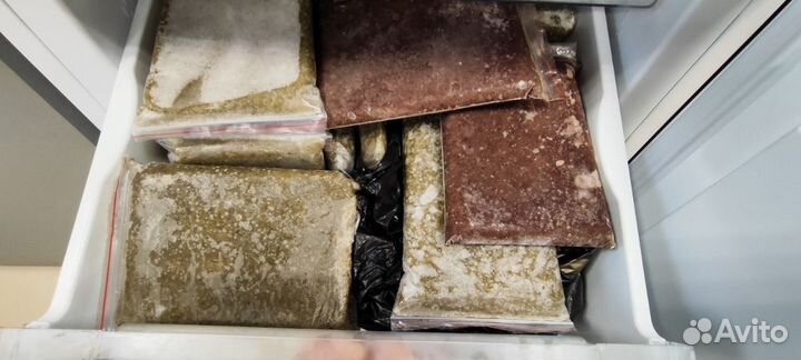 Замороженный корм для аквариумных рыб