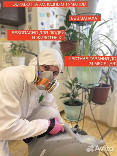 Уничтожение клопов, травля тараканов дезинсекция