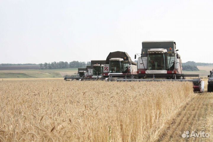 Уборка урожая 2023