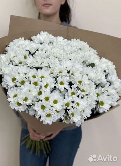 Хризантема