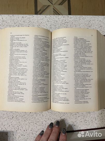 Большой русско-английский словарь