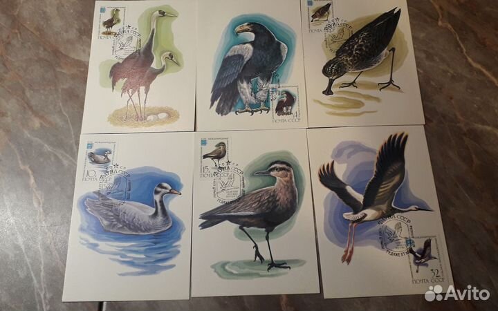 Почтовые конверты, карточки, открытки СССР