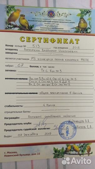Канарейки Кеноры