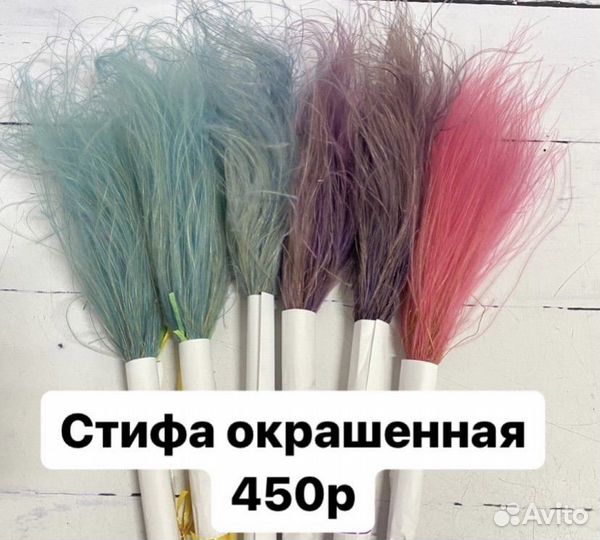 Цветы сухоцветы