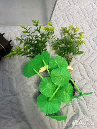 Аквариум, акваферма, фильтр, растения