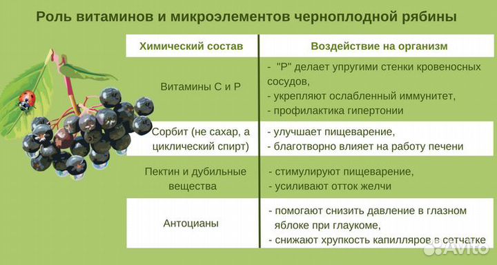 Черноплодная рябина, арония, сушеная