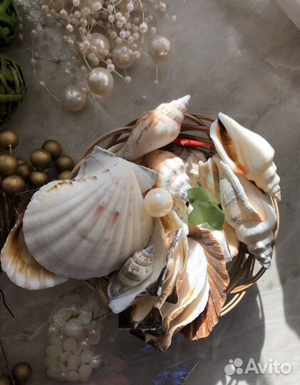 Набор для хобби