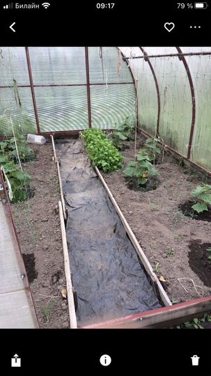 Участок 12 сот. (СНТ, ДНП)