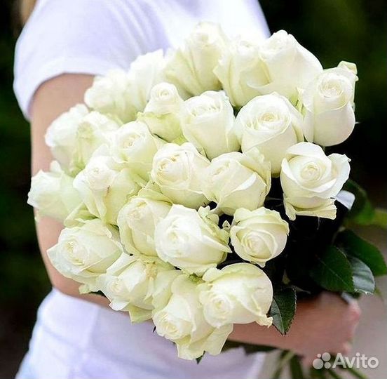 Высокие розы Доставка цветов