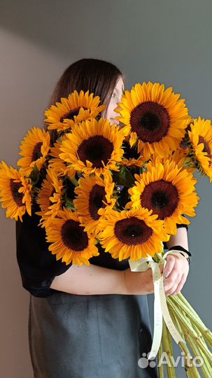 Подсолнухи Букет подсолнухов
