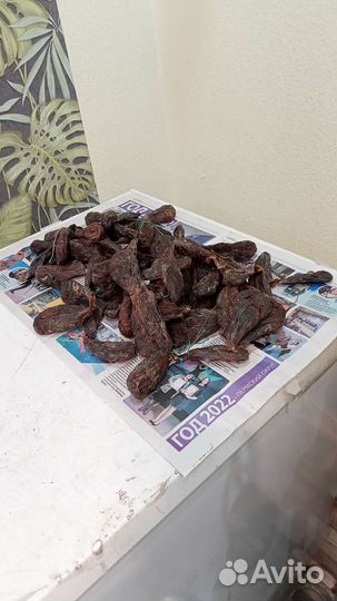 Жир барсука