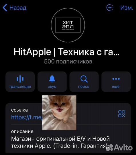 iPhone 12 Pro Max, 256 ГБ