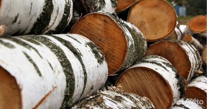 Дрова березовые и дубовые колотые с доставкой
