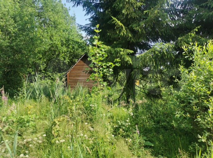 Участок 12 сот. (СНТ, ДНП)