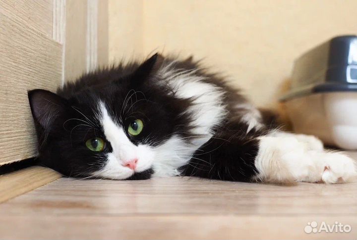 Лев Троцкий