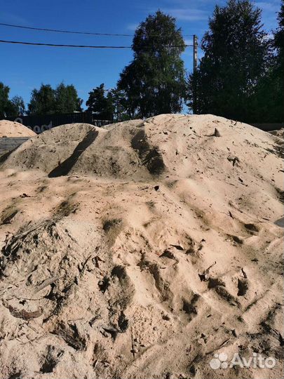 Отдам опилки. Бесплатно