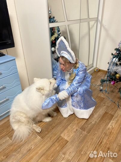 Дед мороз и снегурочка на мероприятие