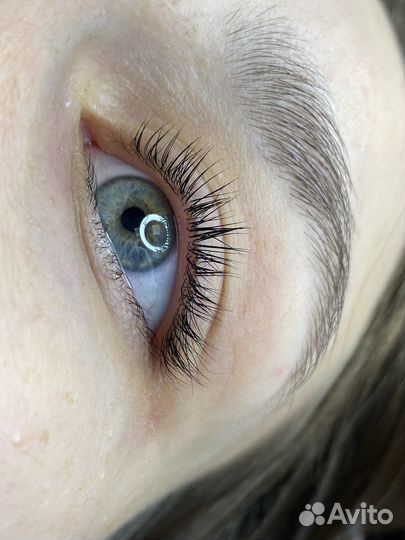 Курс ламинирование ресниц