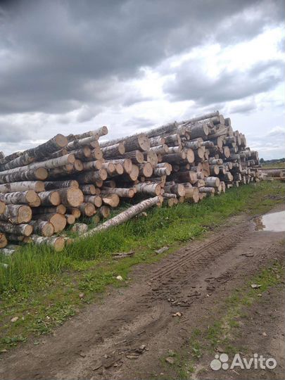 Лес кругляк