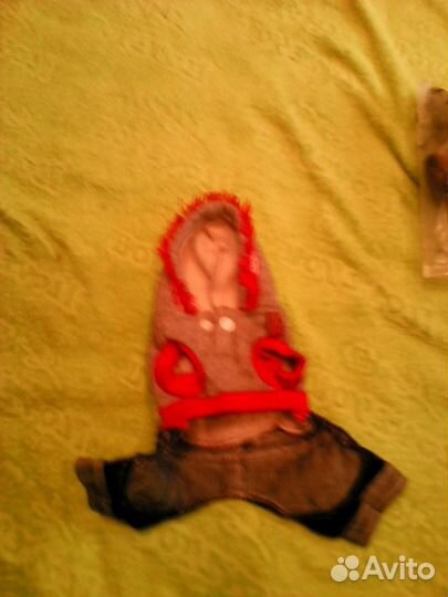 Одежда для маленькой собачки