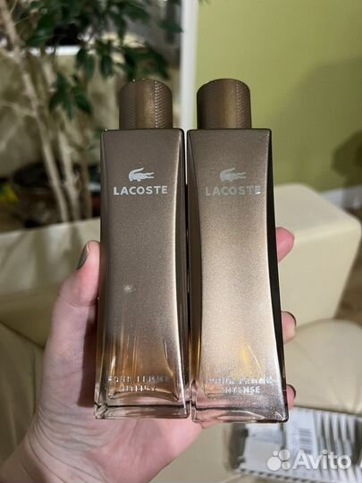 Lacoste pour femme intense