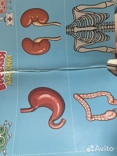 Настольные игры